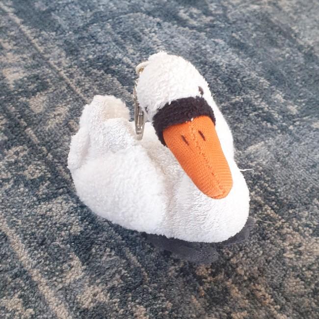 Swan