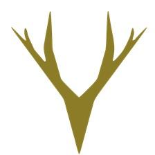 Rich Energy