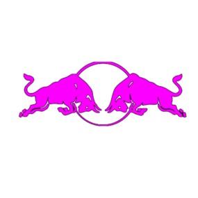 Toro Rosso