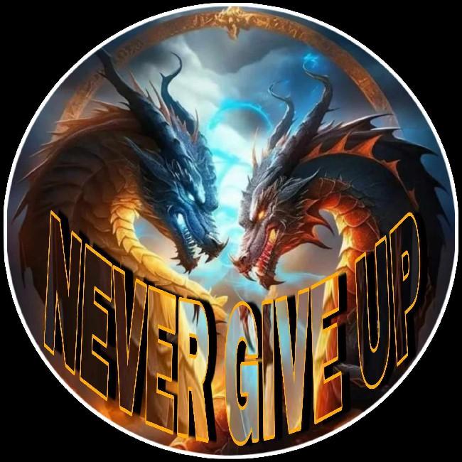 Never Give Up