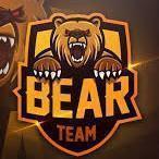 Bears