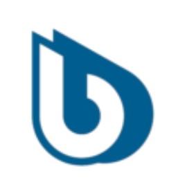 Bwt Racing