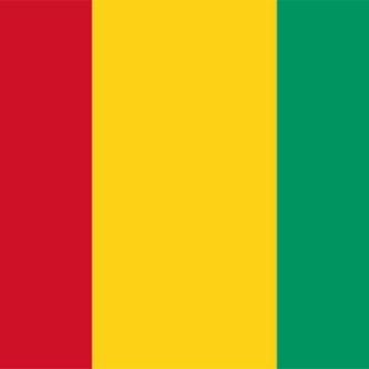 Mouctar Diakhaby