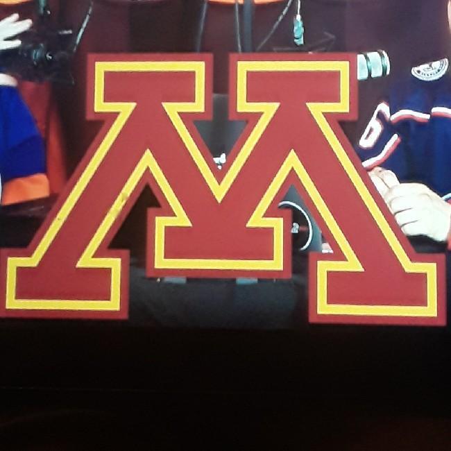 Minnesota golden gophers