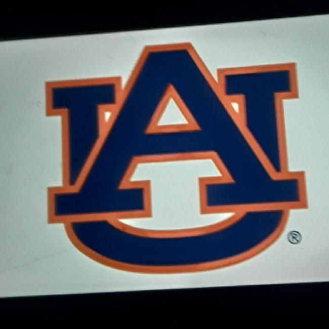 Auburn tigers
