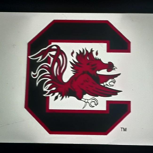 South Carolina Gamecocks