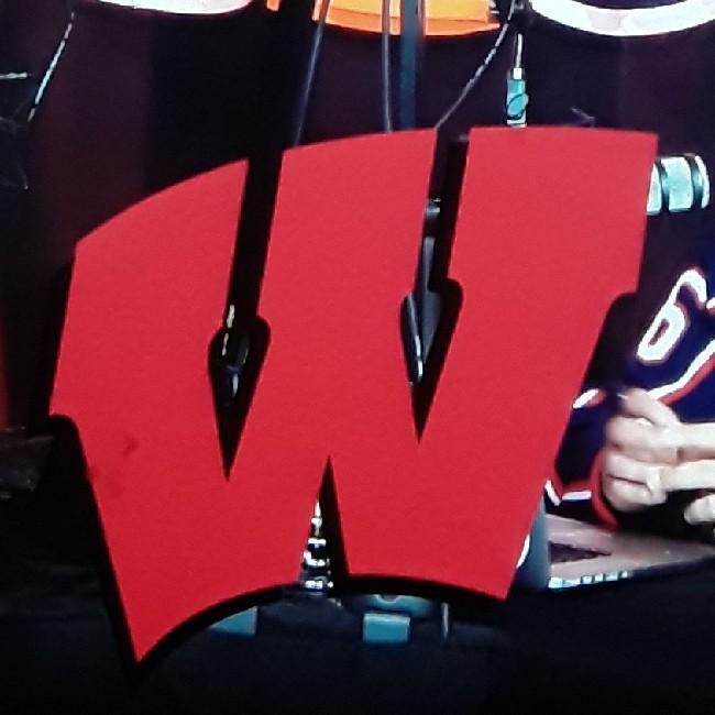 Wisconsin badgers