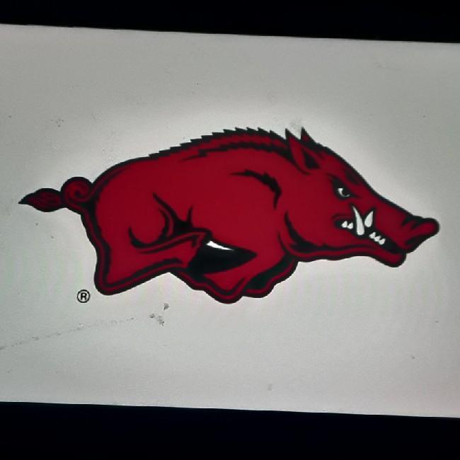 Arkansas Razorbacks