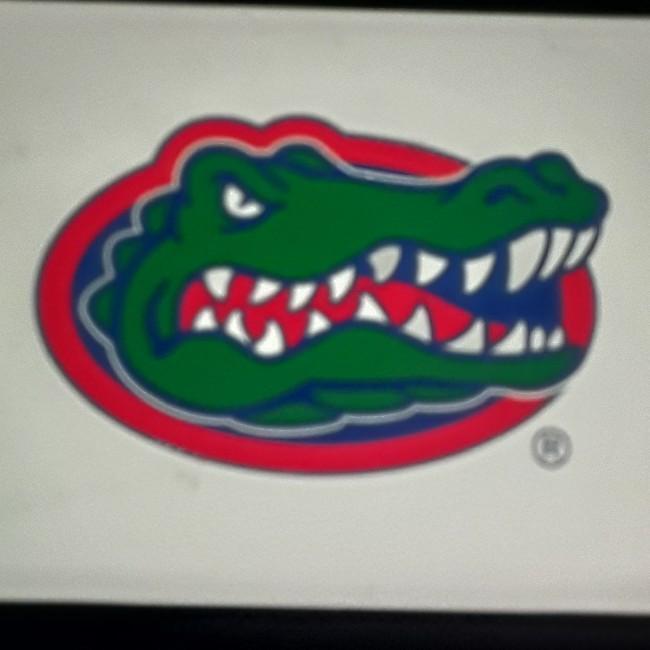 Florida gators