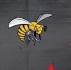 Alabama state