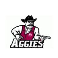 New Mexico state