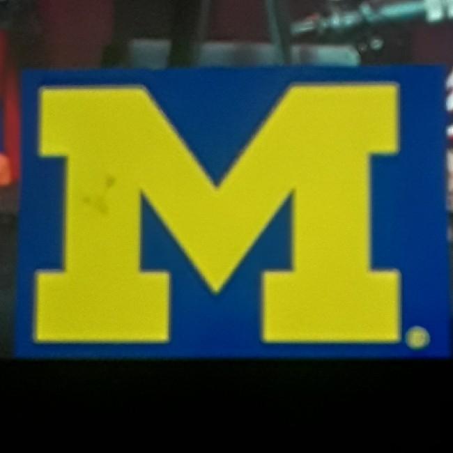 Michigan Wolverines
