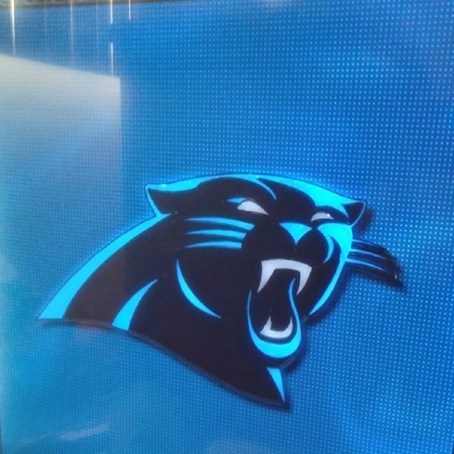 Carolina Panthers