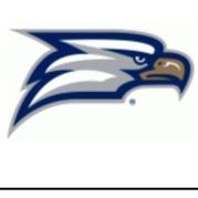 Georgia southern