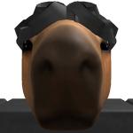 rockyalt_1237