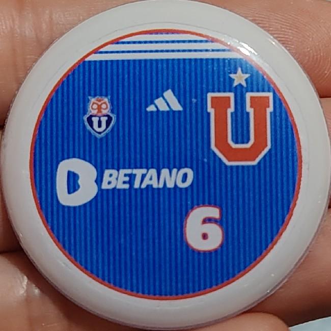 Universidad de Chile