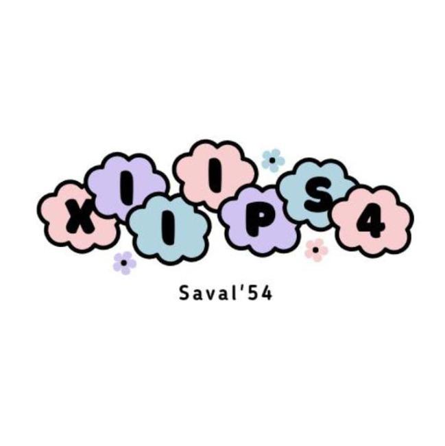 XII IPS 4