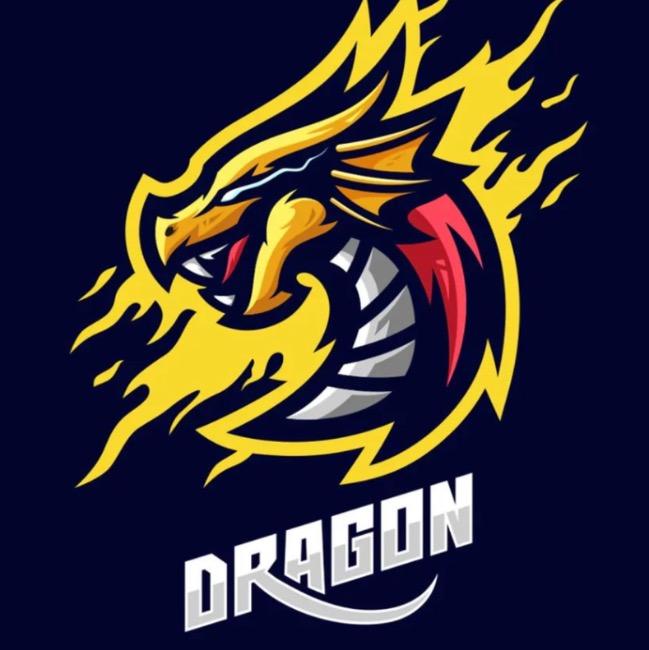 Dragons