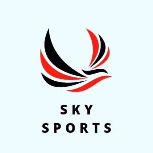 SKY  FÊNIXGG