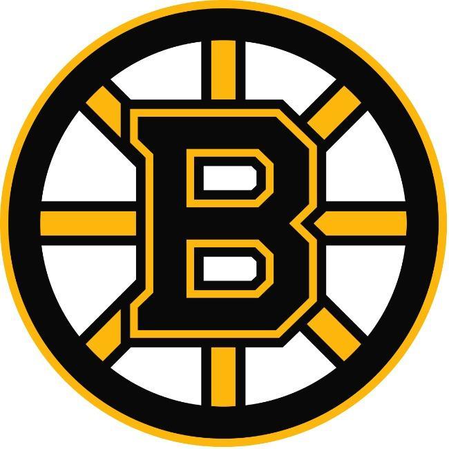 Boston bruins
