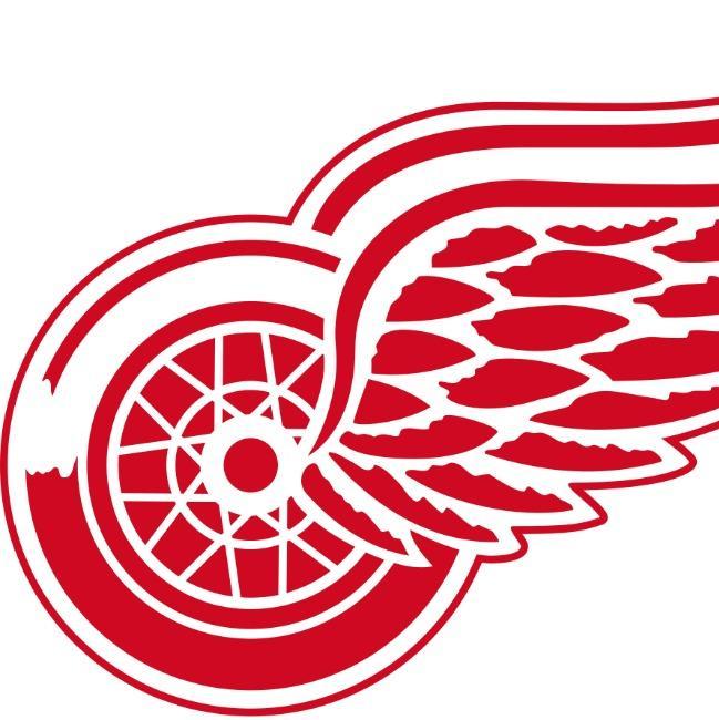 Detroit red wings