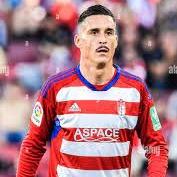 Jose Callejon