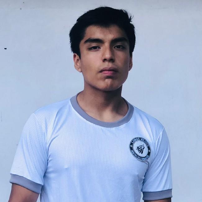 Oscar Gael Santana Toledo
