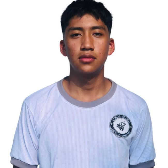 Diego Ivan Meza Amador