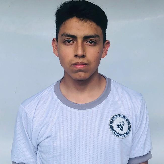 Victor Alexis Cazares Luna