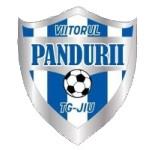Viitorul Pandurii