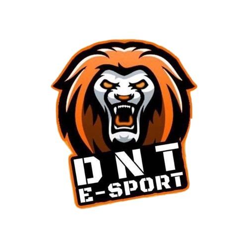 DNT-ESPORTS