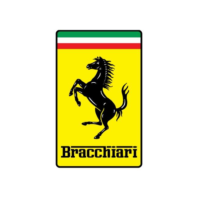 Bracchiari