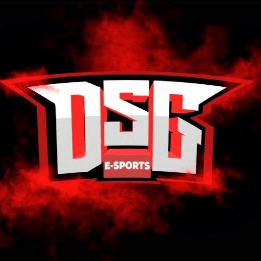 Pedro Vinicius dos Santos Viana