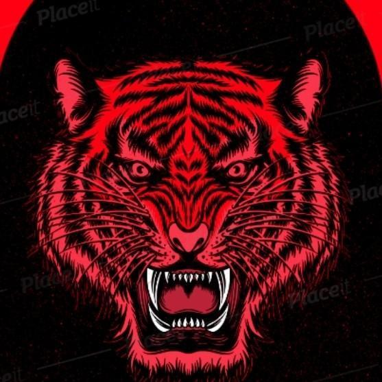 Logan Park Tigers