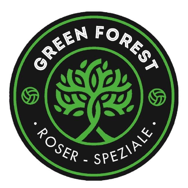 Green Forest FC