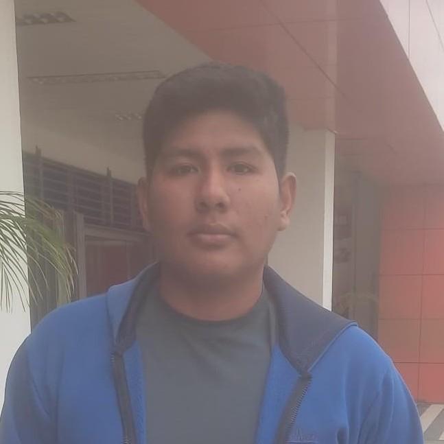 Julio César Gareca Alvarez