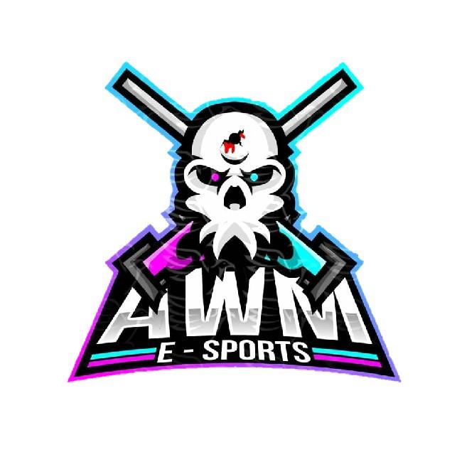 AWM E SPORTS/AWm
