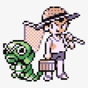 The Bug Catchers