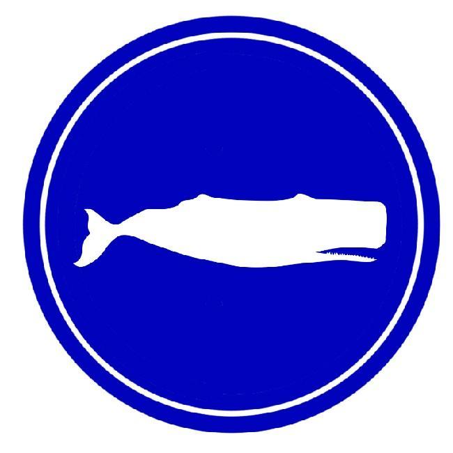 Sperm Whale