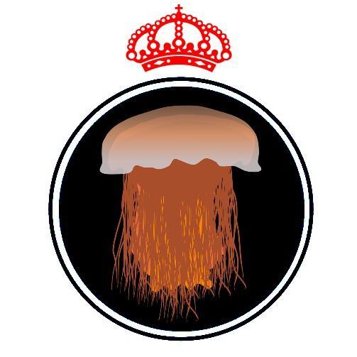 Lion-Mane-Jellyfish