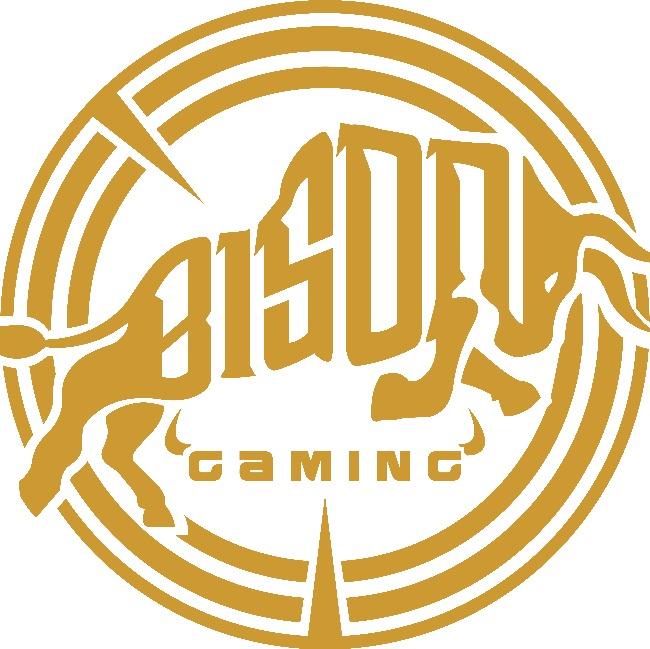 BISON GAMING