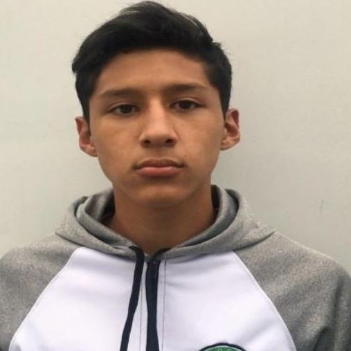 ENRIQUE ALDAIR ALVAREZ AVILES