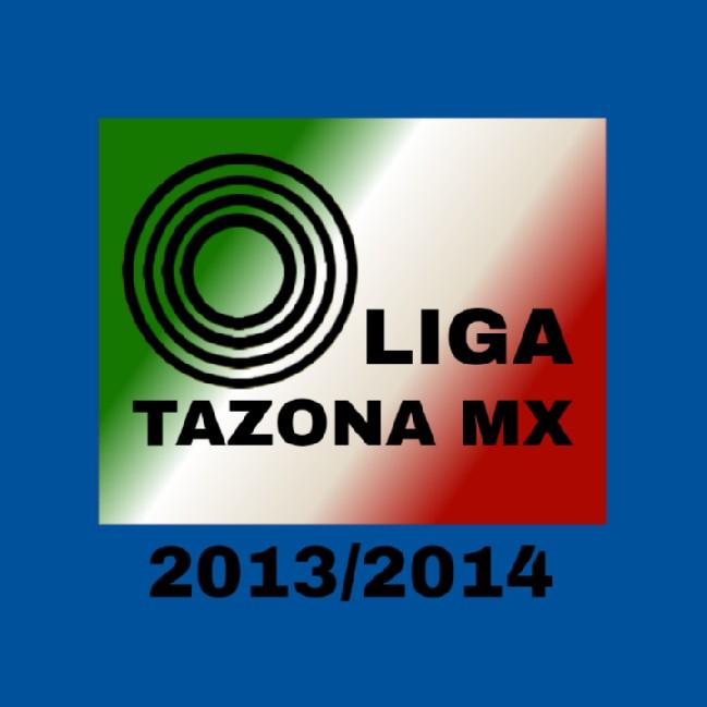 Liga Tazona 2013/2014