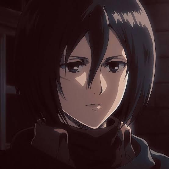 Mikasa (21°)
