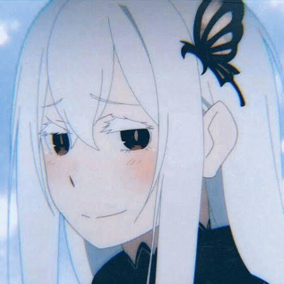 Echidna (102°)