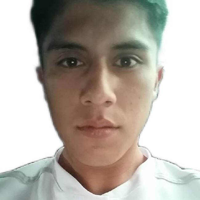 David Alejandro Rivas Pineda