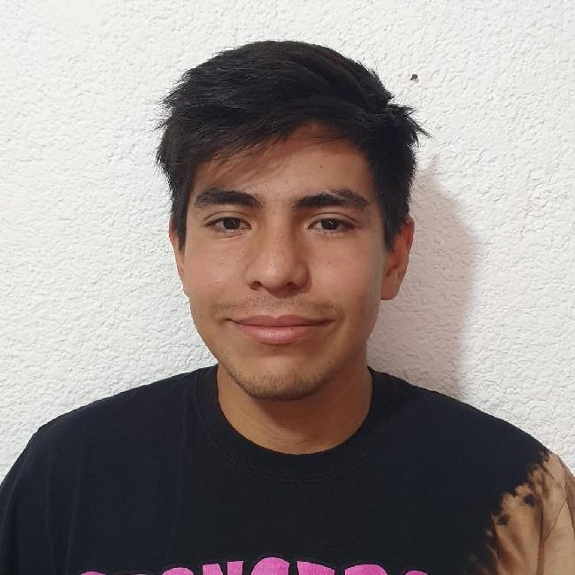 Victor Fabian Mendiola Soto