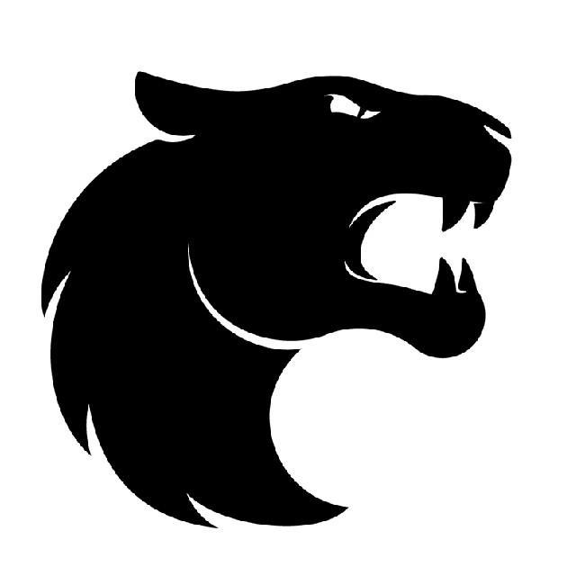 FURIA Esports