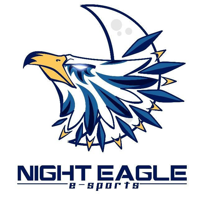NIGHT EAGLE