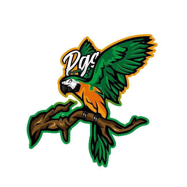 PGS E-SPORTS